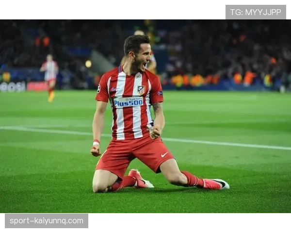 格列兹曼与哈梅斯控球偏好差异及其射门分布特征分析